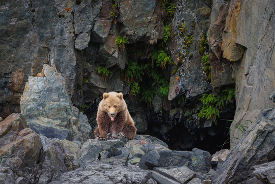 Lake Clark National Park 