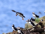 I am coming in for a landing 