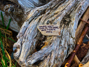 Things Wont Be The Same