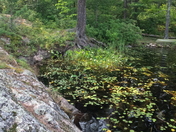 Boundary Waters Canoe Area