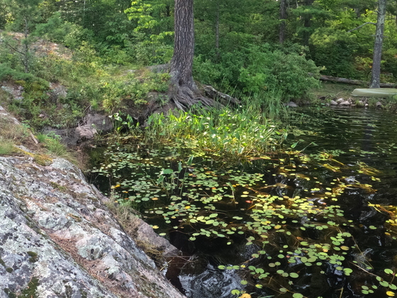Boundary Waters Canoe Area