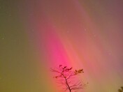 Superior National Forest