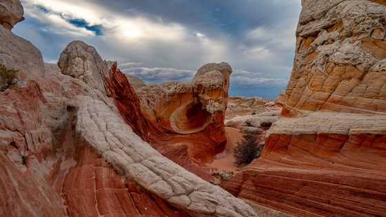 Vermillion Cliffs National Monument 