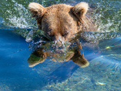 Katmai National Park and Preserve