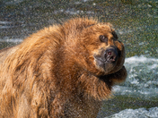 Katmai National Park and Preserve