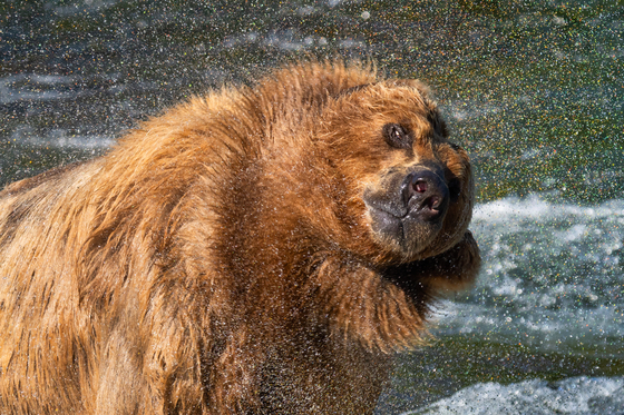 Katmai National Park and Preserve