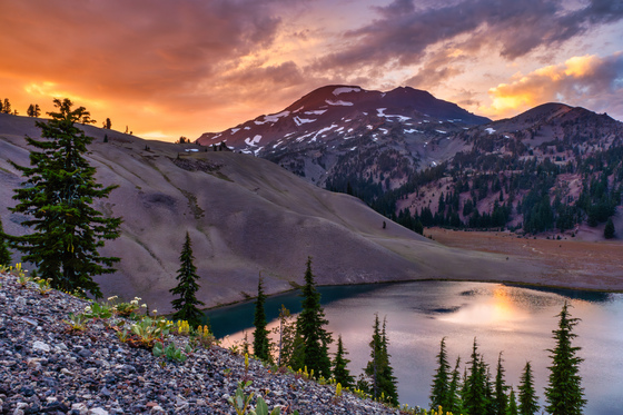 Deschutes National Forest