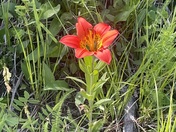 Yamnuska