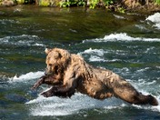 Katmai National Park and Preserve