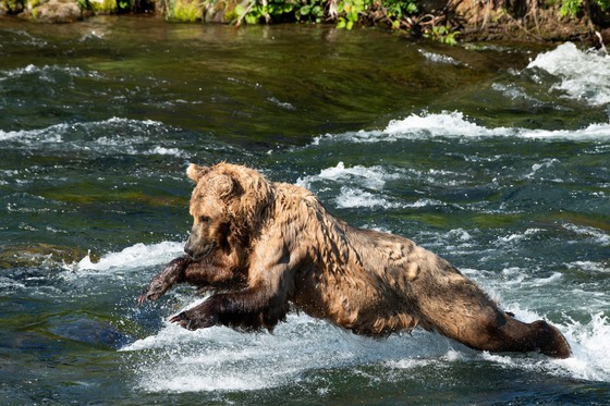 Katmai National Park and Preserve