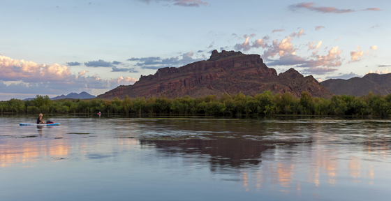 Tonto National Forest