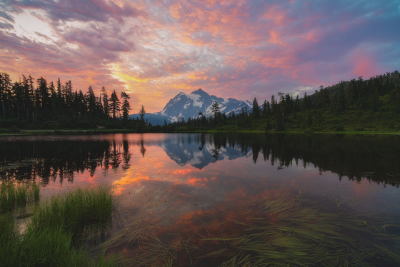 Mt. Baker-Snoqualmie National Forest