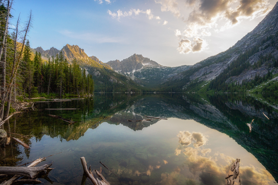 Okanogan-Wenatchee National Forest