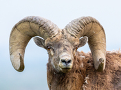 Badlands National Park
