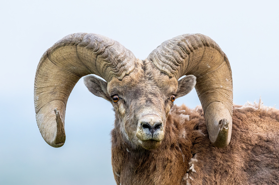 Badlands National Park