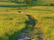 Tallgrass Prairie National Preserve