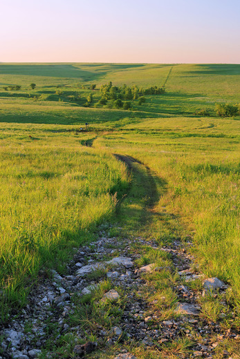 Tallgrass Prairie National Preserve