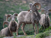 Glacier National Park