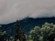 Gunnison National Forest