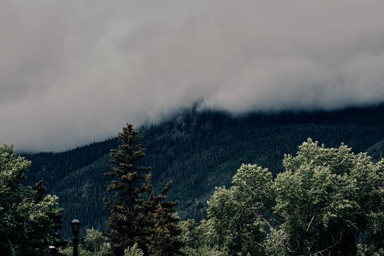 Gunnison National Forest
