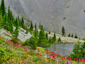 Deschutes National Forest