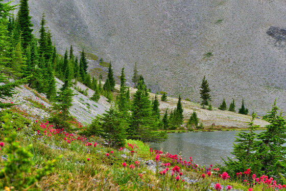 Deschutes National Forest