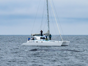 Channel Islands National Park