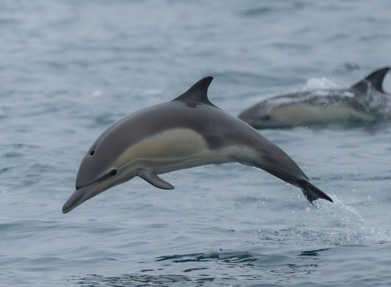 Channel Islands National Park