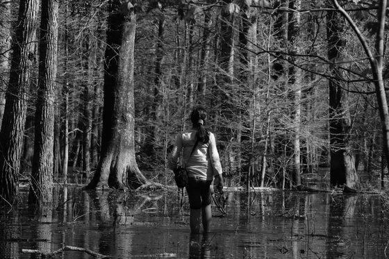 Roanoke River Wildlife refuge