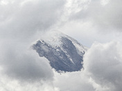 Mt. Rainer National Park