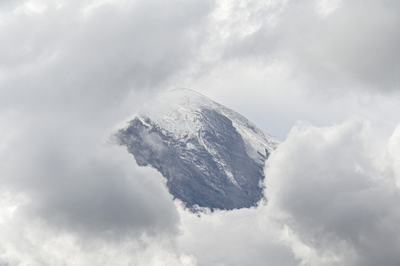 Mt. Rainer National Park