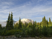 Mt. Rainer National Park