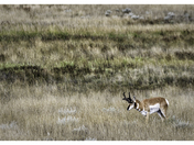 Fort Union National Monument