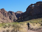 Organ Pipe Cactus National Monument