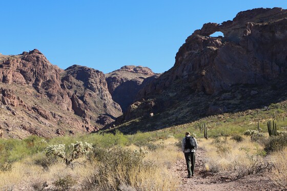 Organ Pipe Cactus National Monument