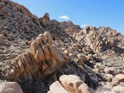 Joshua Tree National Park