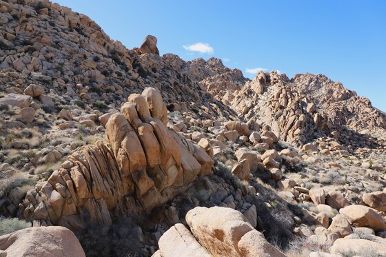 Joshua Tree National Park