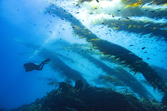 Channel Islands National Park