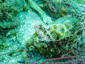 Channel Islands National Park