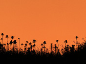 Tall Grass Prairie National Preserve