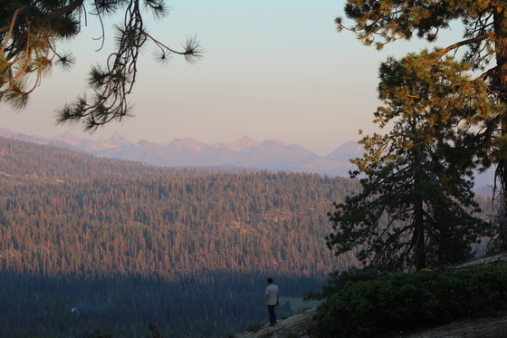 Sequoia National Forest
