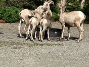 Glacier National Park