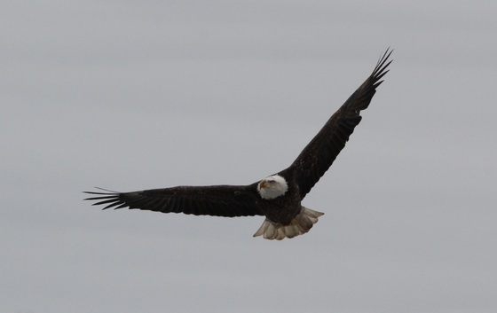 Minnesota Valley National Wildlife Refuge