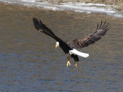 Minnesota Valley National Wildlife Refuge