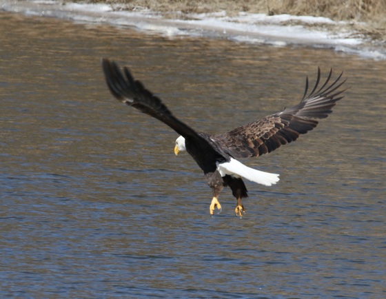 Minnesota Valley National Wildlife Refuge