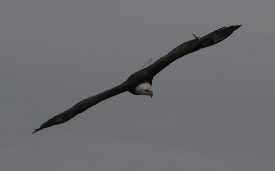 Minnesota Valley National Wildlife Refuge