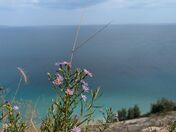 Sleeping Bear Dunes National Lakeshore