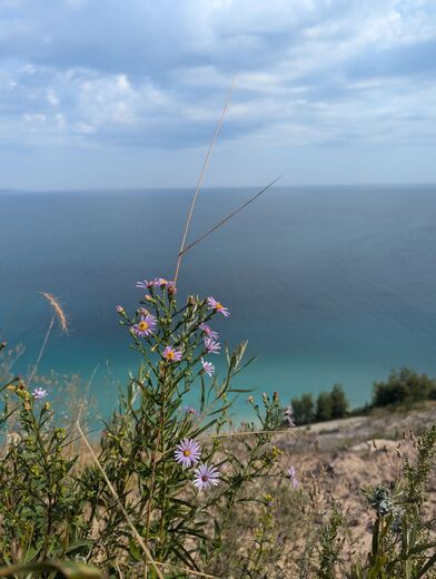 Sleeping Bear Dunes National Lakeshore