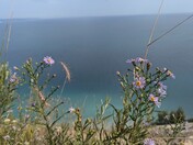 Sleeping Bear Dunes National Lakeshore