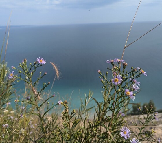 Sleeping Bear Dunes National Lakeshore